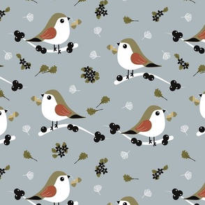 Winter Birds - Gray - Wildlife - Robin - Acorn - Nature - Ochre - Pigeon - Berries - Christmas - Festive