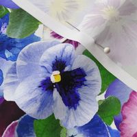 Large Tossed Spring Pansies and Violas