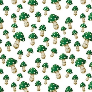 Magic Green MUSHROOM 