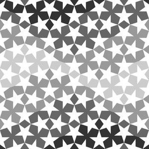 01269890 : star waves : greyscale