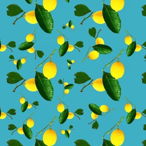 Lemons Galore