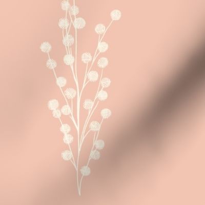 delicate flowers on peachy background