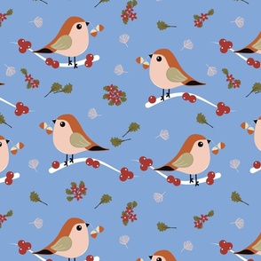 Winter Birds - Blue - Wildlife - Robin - Acorn - Nature - Terracotta - Pigeon - Berries - Christmas - Festive