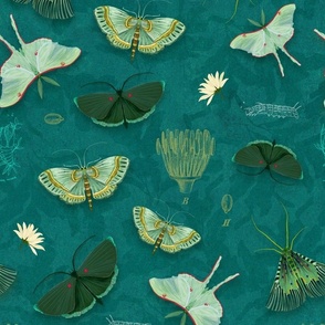 Night Moths teal 