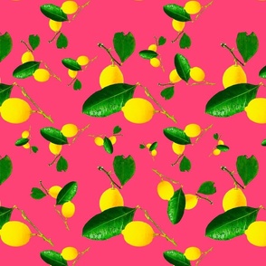 Lemons Galore on Pink
