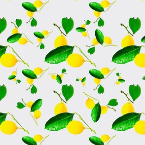 Lemons Galore