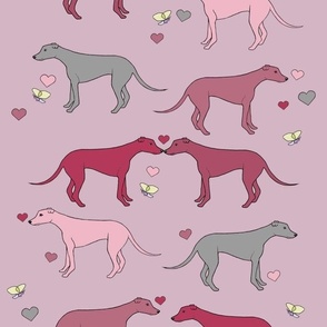 Love Greyhound 