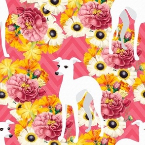 Italian Greyhound Floral Pink