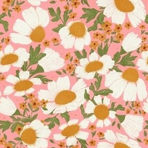  Small - Sunny Chamomile Pink