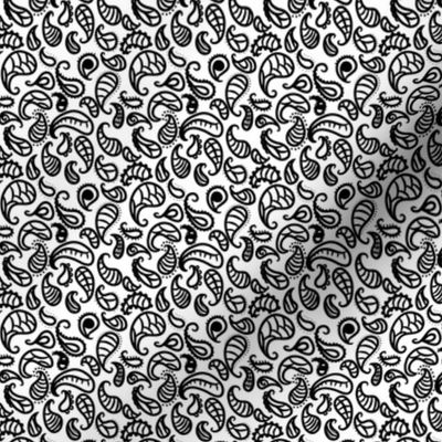 Black and White Paisley 