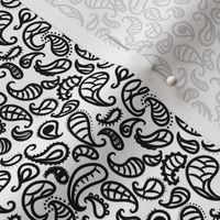 Black and White Paisley 