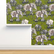 Baby elephants and Rhinos on a walk with green turf