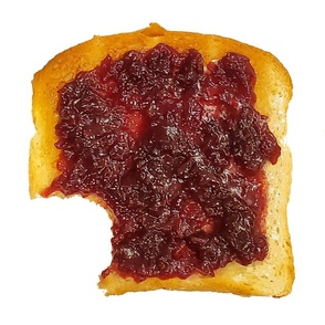 jam toast bite cushion