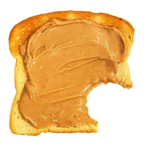 peanut butter bite cushion