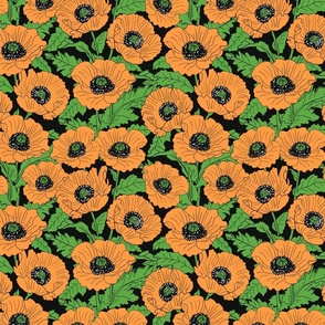 Orange Poppies 10x10