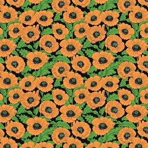 Orange Poppies 8x8