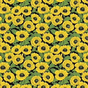 Yellow Poppies 8x8