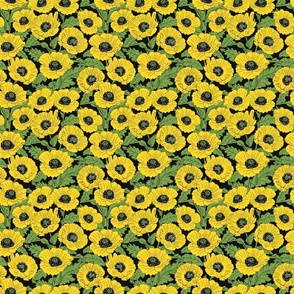 Yellow Poppies 6x6