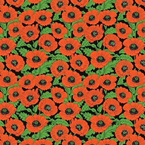Red Poppies 8x8