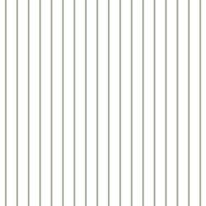 Classic wider 1 Inch Desert Sage Grey Green Pinstripe on a White Background