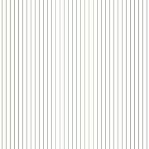 Classic 1/2 Inch Desert Sage Grey Green Pinstripe on a White Background