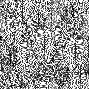 Monochrome Pattern Black and White Layered Palm Leaves