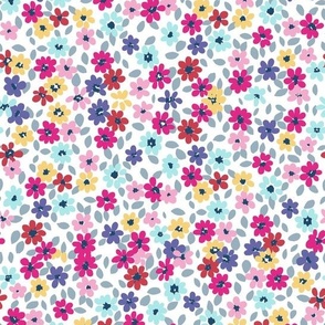 Colorful floral S