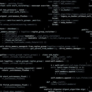 Programming Code C++ and python black and gray