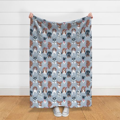 Normal scale // Pure love pockets I // pastel blue background Dachshund Beagle Dalmatian Basset Hound Labrador Retriever Husky Welsh Corgi and Italian Greyhound dog puppies