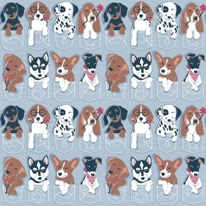 Tiny scale // Pure love pockets II // aligned // pastel blue background Dachshund Beagle Dalmatian Basset Hound Labrador Retriever Husky Welsh Corgi and Italian Greyhound dog puppies