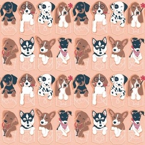 Tiny scale // Pure love pockets II // aligned // flesh coral background Dachshund Beagle Dalmatian Basset Hound Labrador Retriever Husky Welsh Corgi and Italian Greyhound dog puppies