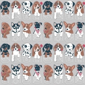 Tiny scale // Pure love pockets II // aligned // beige background Dachshund Beagle Dalmatian Basset Hound Labrador Retriever Husky Welsh Corgi and Italian Greyhound dog puppies