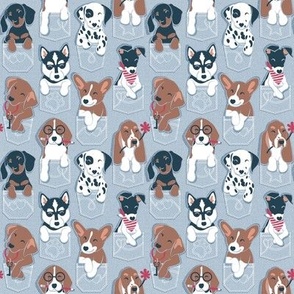 Tiny scale // Pure love pockets I // pastel blue background Dachshund Beagle Dalmatian Basset Hound Labrador Retriever Husky Welsh Corgi and Italian Greyhound dog puppies