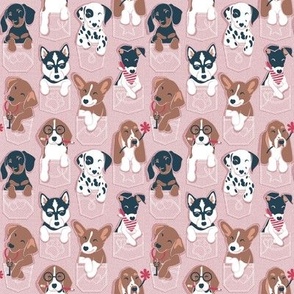 Tiny scale // Pure love pockets I // blush pink background Dachshund Beagle Dalmatian Basset Hound Labrador Retriever Husky Welsh Corgi and Italian Greyhound dog puppies