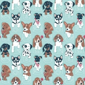 Tiny scale // Pure love pockets I // aqua background Dachshund Beagle Dalmatian Basset Hound Labrador Retriever Husky Welsh Corgi and Italian Greyhound dog puppies