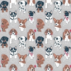 Tiny scale // Pure love pockets I // beige background Dachshund Beagle Dalmatian Basset Hound Labrador Retriever Husky Welsh Corgi and Italian Greyhound dog puppies