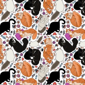 Cat Mix: Ragdolls, Orange Tabbies, & Black Kitties - White