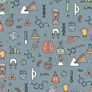 Little Scientist - Freehand science illustrations lab supplies brains numbers and school icons vintage red mint blue on cool gray 