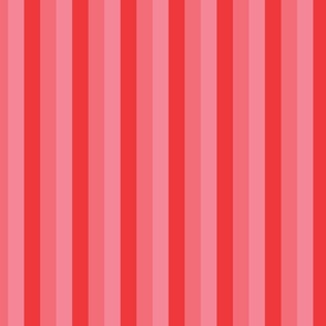 Skinny Stripes, Bright Pink Stripes
