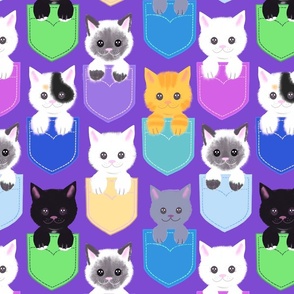 Kittens in pockets on purple 