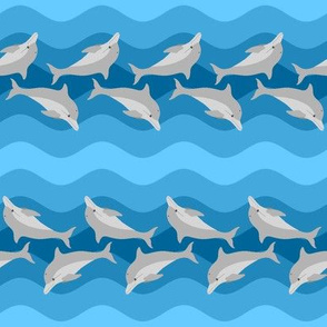 01271106 : dolphin stripe waves