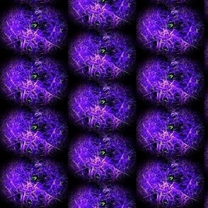 Tiny Dots on Textured Purple Spots