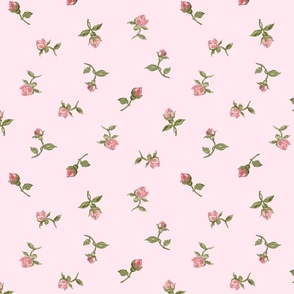 Floating Vintage Rosebuds - blush pink, medium