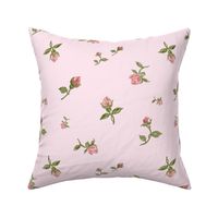 Scattered Vintage Rosebuds - blush pink, medium