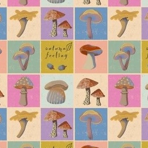 Mushroom collection in colorful squares
