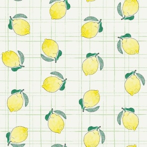 Lemons on plaid wax tablecloth