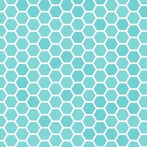Large Aqua Blue Honeycomb Bee Hive Geometric Hexagonal Design