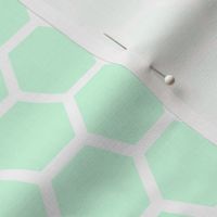 Large Mint Green Honeycomb Bee Hive Geometric Hexagonal Design
