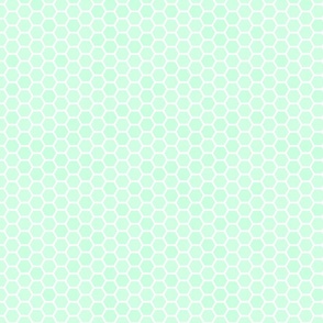 Small Mint Green Honeycomb Bee Hive Geometric Hexagonal Design