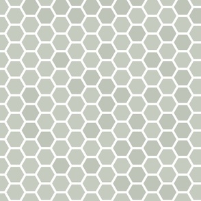 Large Desert Sage Grey Green Honeycomb Bee Hive Geometric Hexagonal Design